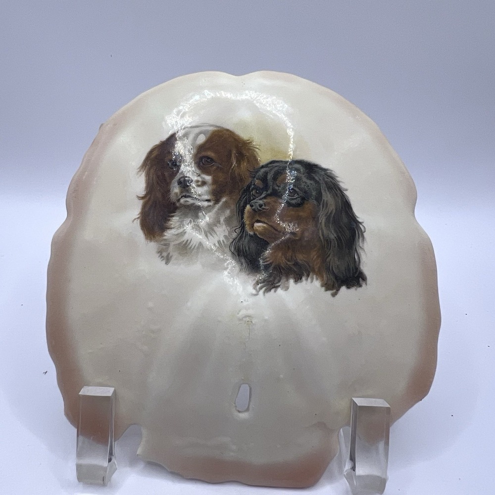 Vtg Cocker Spaniels Hand Painted On A Sand Dollar 5"x5"